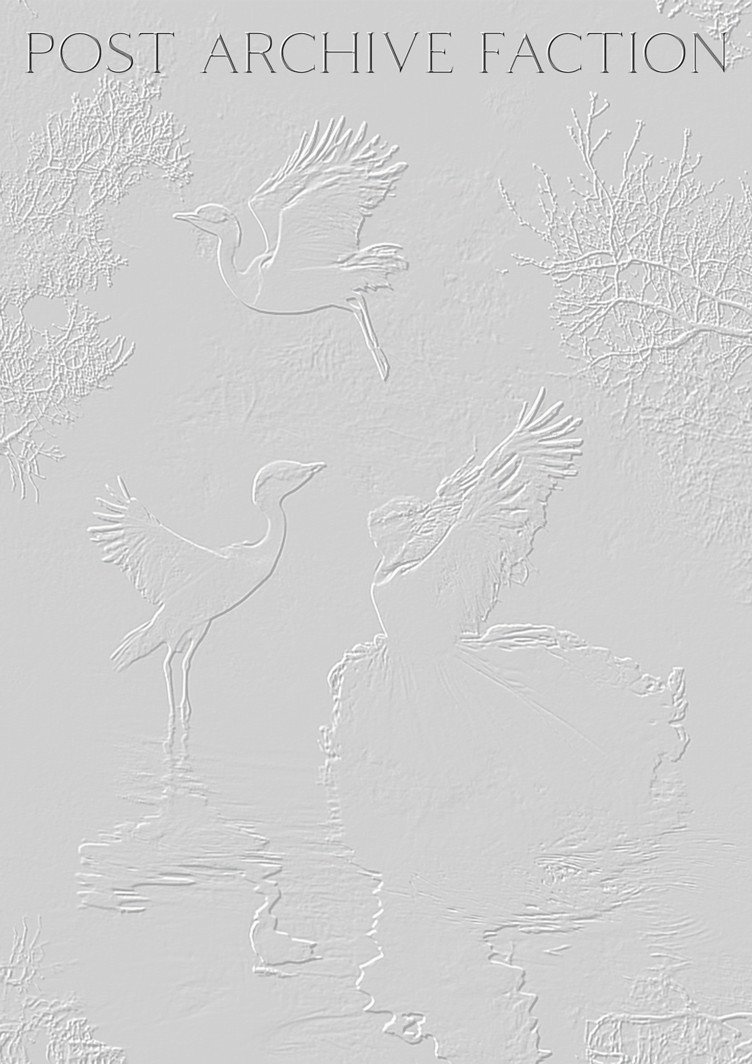 PAF Image 2