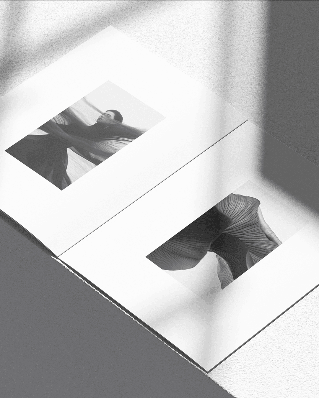 Spectre Image 2