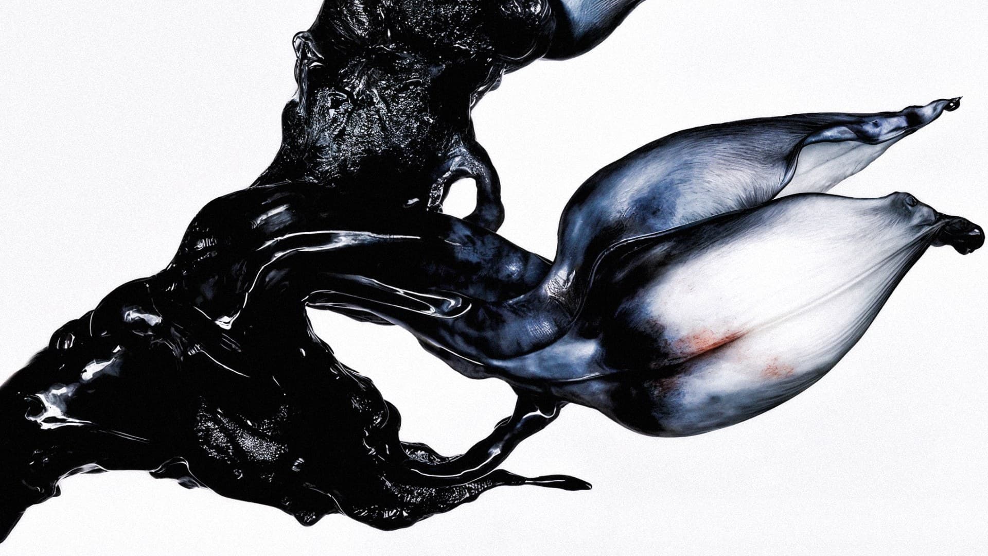 HIGAN — la matière noire prend forme